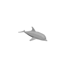 Dolphin